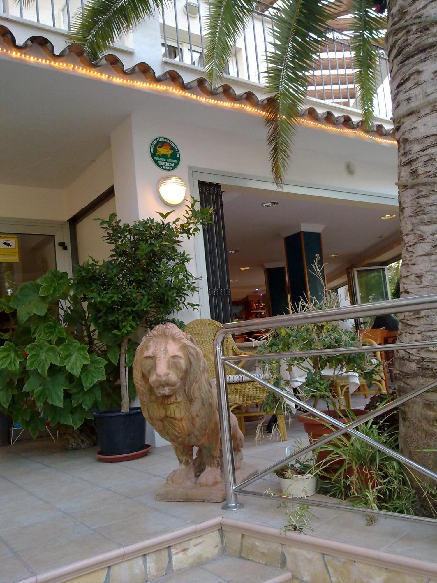 Hostal Leo D'Or Кала де Ор Экстерьер фото